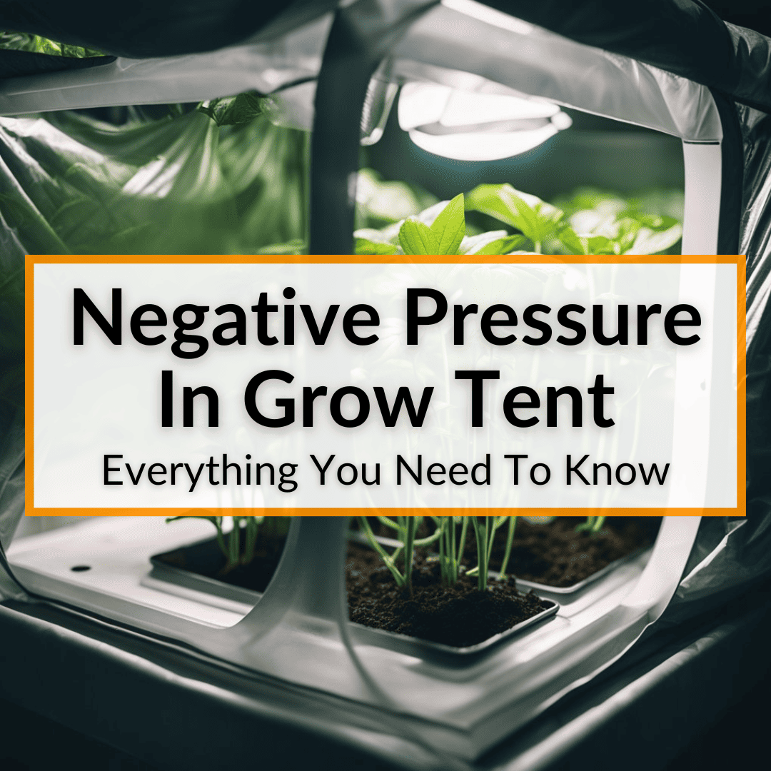 Negative Pressure In Grow Tent