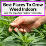 Best Places To Grow Weed