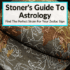Stoners guide to astrology