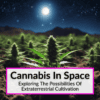 Cannabis In Space