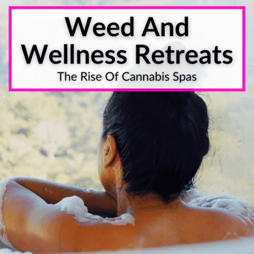 View of The Best Wellness Retreats in the US For 2026 - Elite Traveler