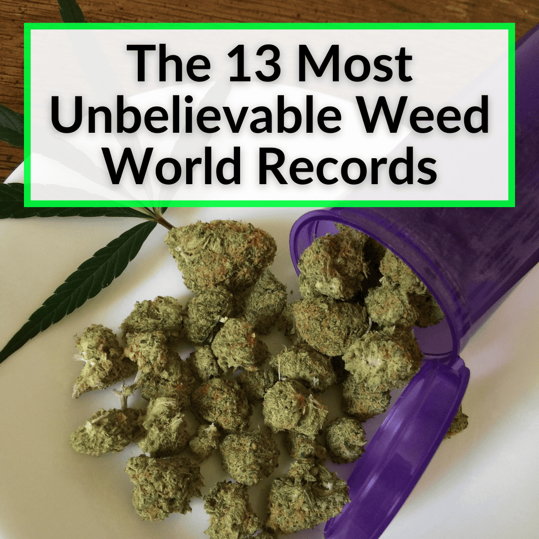 Weed World Records