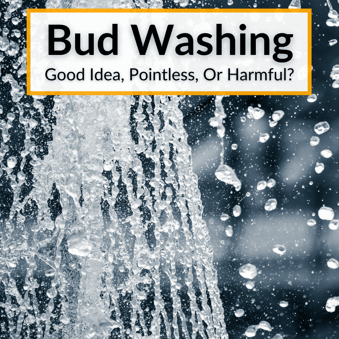Bud Washing