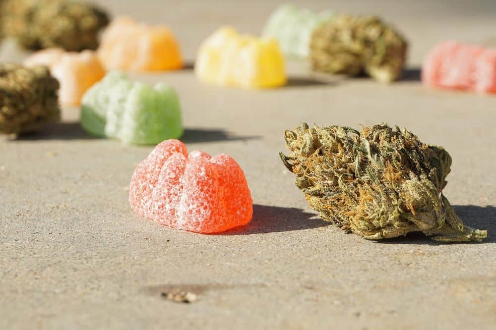 cannabis edibles and buds