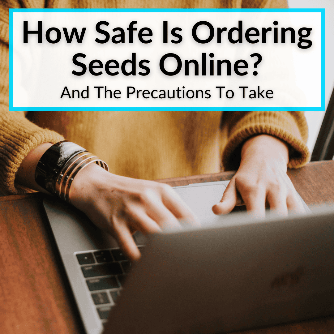 How Safe Is Ordering Seeds Online