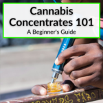 Cannabis Concentrates 101