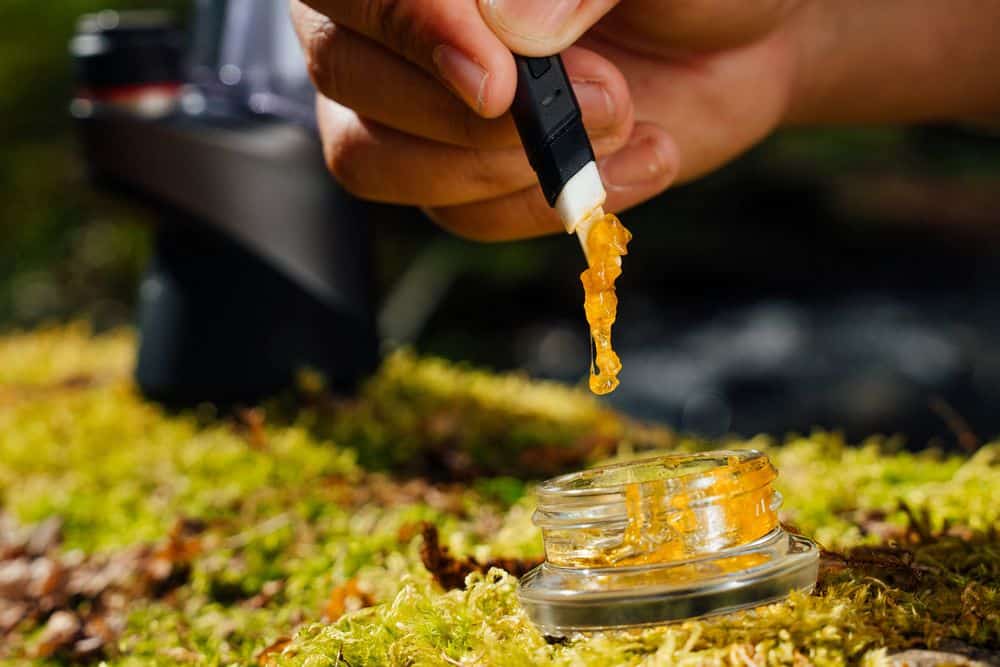 dabbing cannabis concentrate