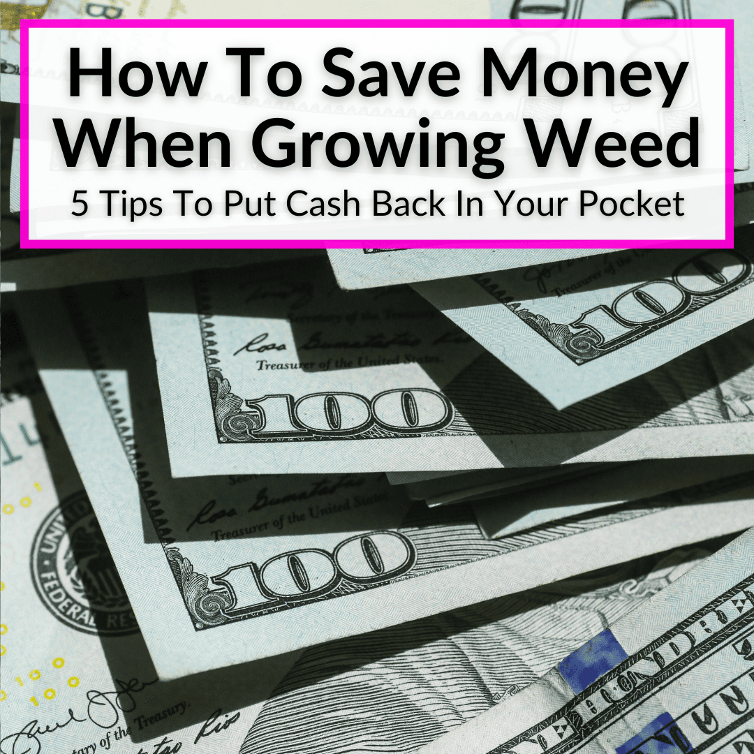 How To Save Money When Growing Weed