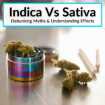 Indica Vs Sativa