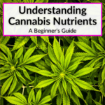 Cannabis Nutrients