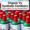 Organic Vs Synthetic Fertilizers