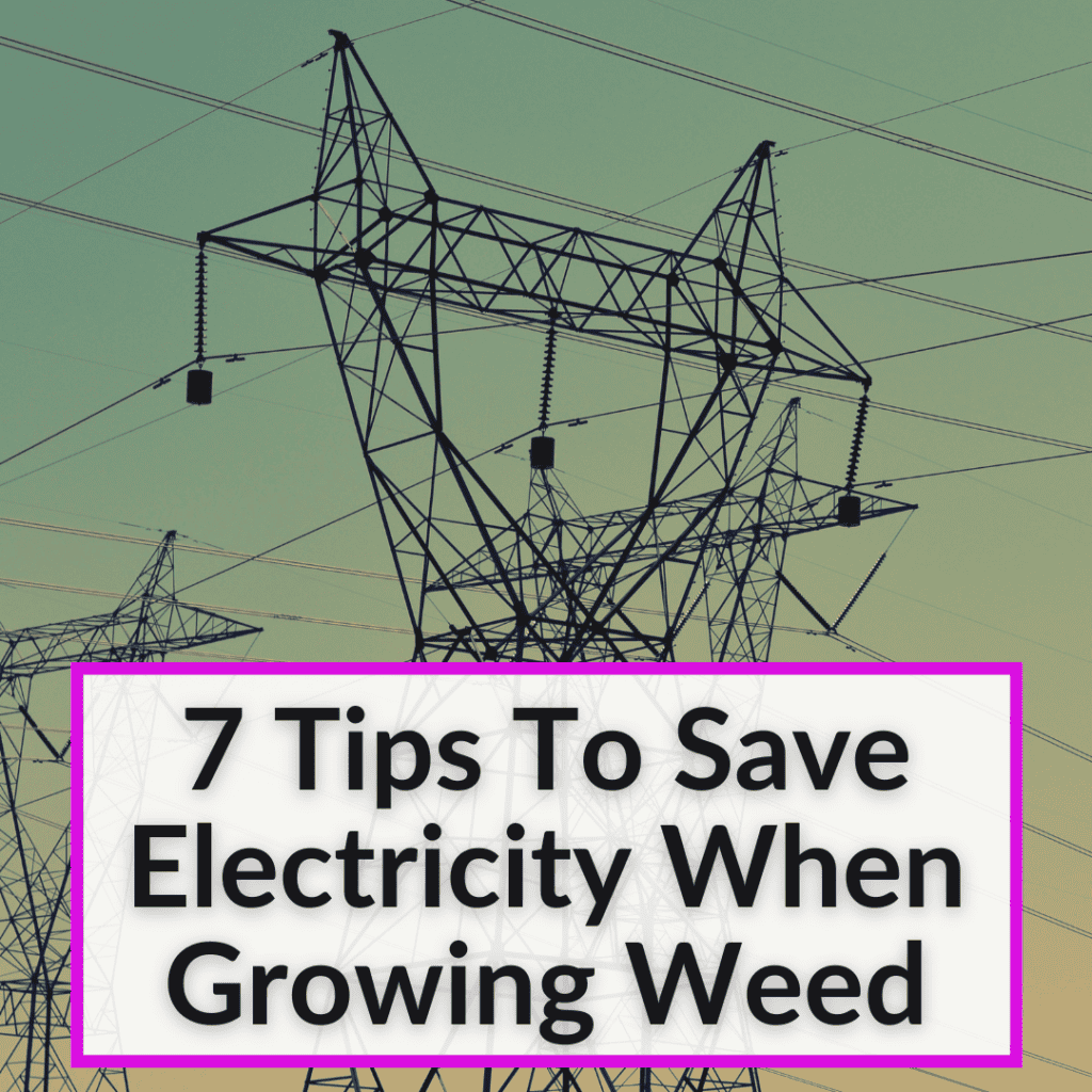 Save Electricity When Growing Weed