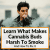 What Makes Cannabis Buds Harsh To Smoke