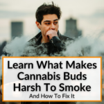 What Makes Cannabis Buds Harsh To Smoke