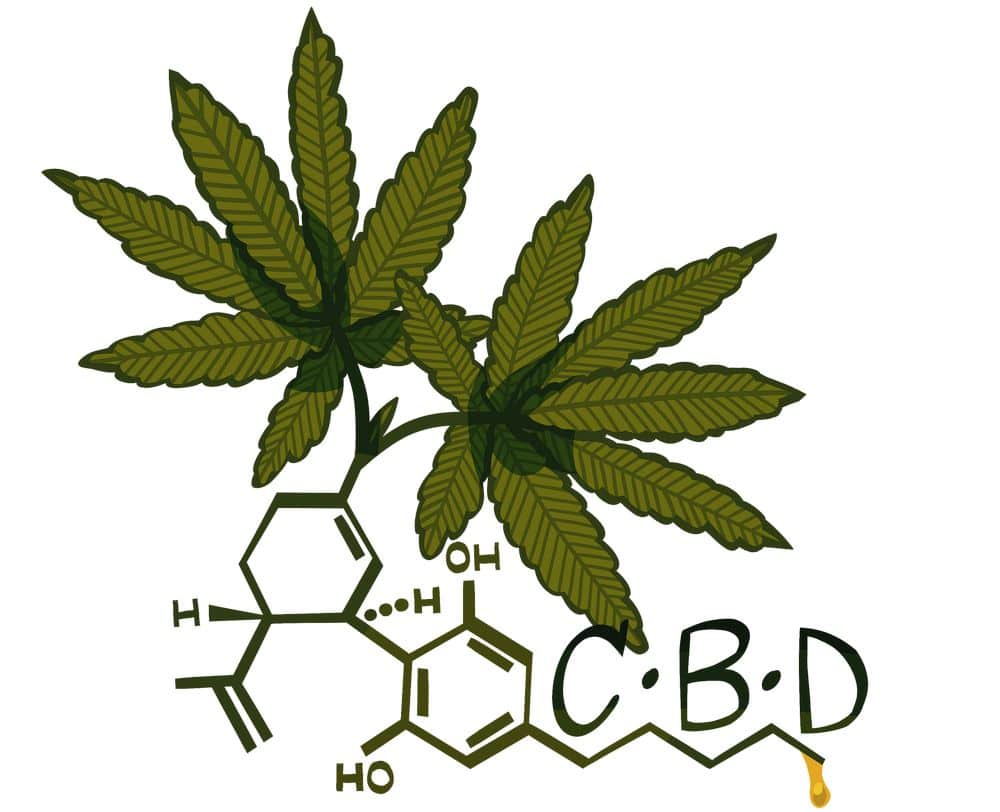 cannabidiol