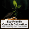 Eco-Friendly Cannabis Cultivation