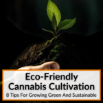 Eco-Friendly Cannabis Cultivation