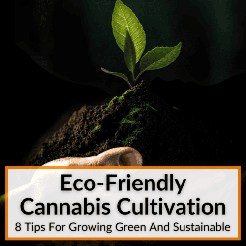 Eco-Friendly Cannabis Cultivation