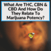 thc cbn cbd and marijuana potency